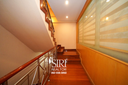 DSC06240.webp